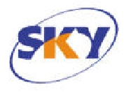 Sky tv - directv