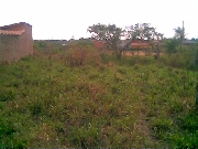 Vendo lote de terreno en Santa Cruz bolivia