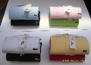 Polos lacoste 100 % originales